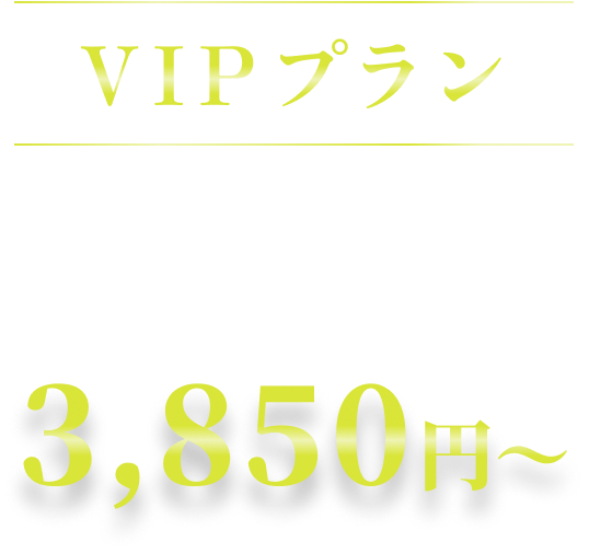 VIPプラン